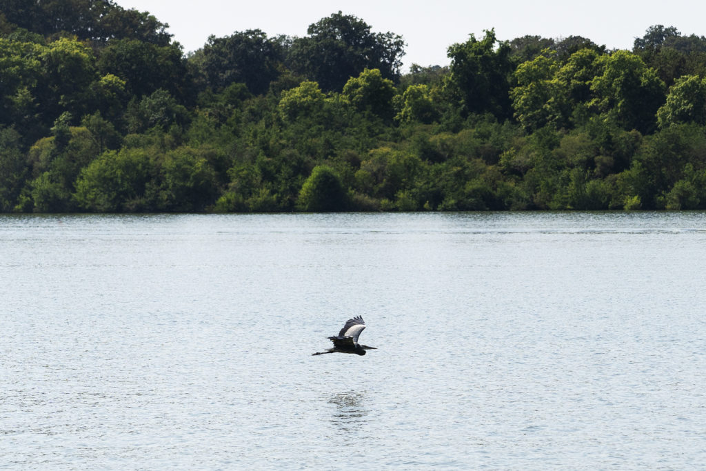 , Un Voyage au coeur des RDVs de l&#8217;Erdre !